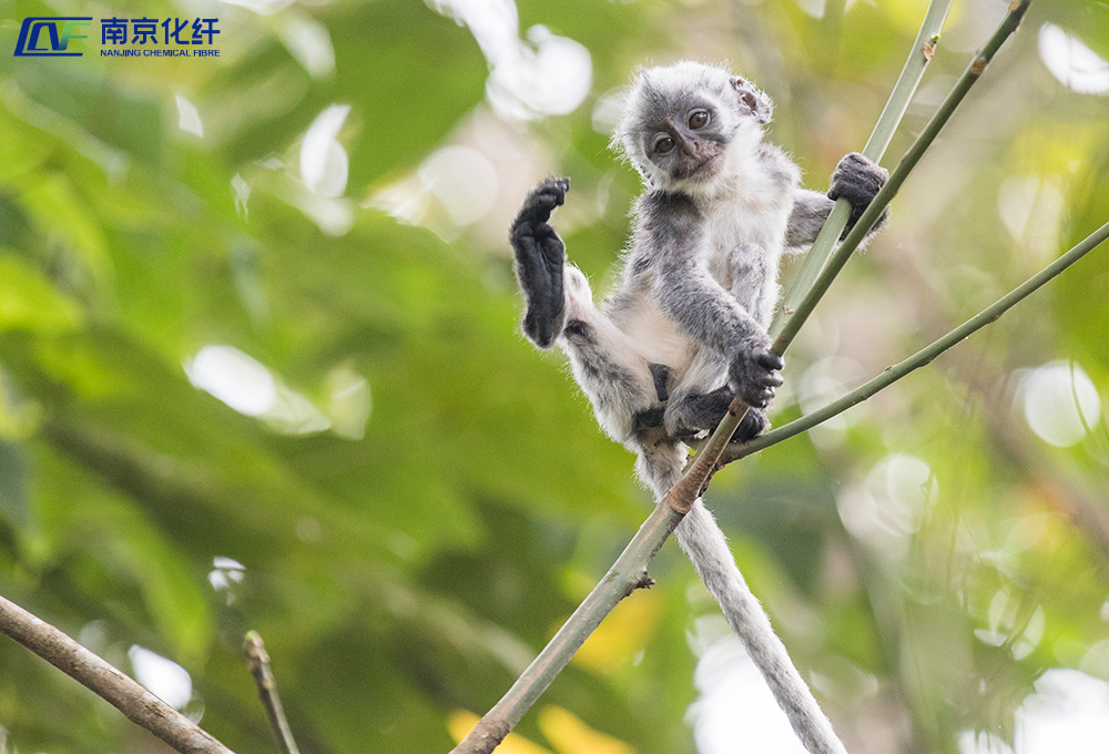 微信圖片_20250321091727.png 微信圖片_20250321091727.png